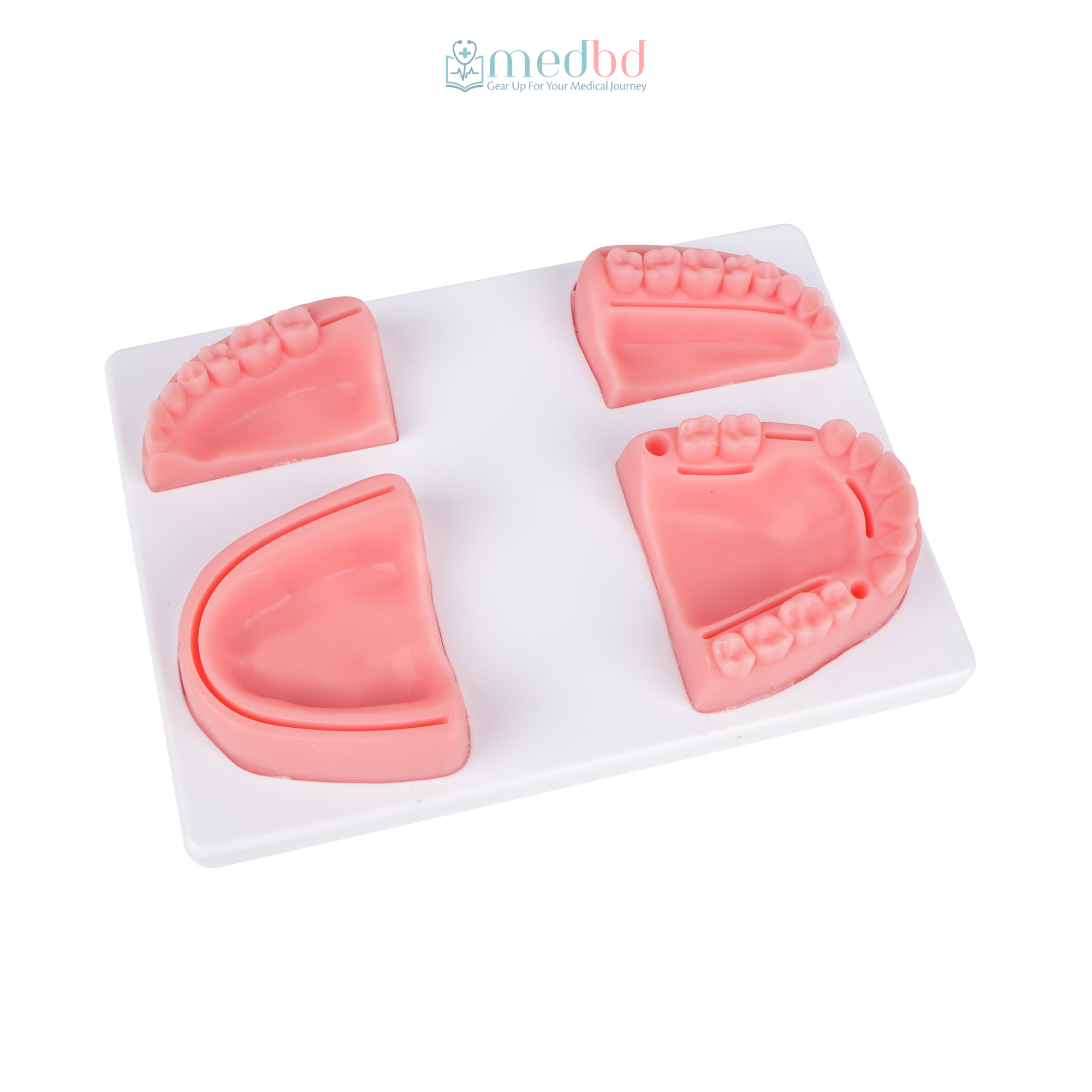 Oral / Dental Surgery Suture Practice Kit - Image 2